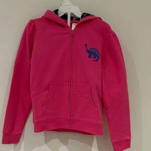 Gymboree Pink Hoodie with Blue Dinosaur